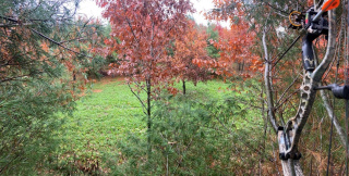 Maximizing Your Hunting Success - Weiss Realty