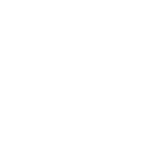 Weiss Realty LLC